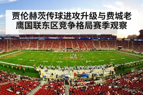american football stadium crowd